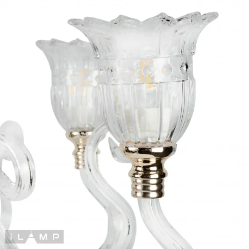 Люстра подвесная Norm P2326-6 GD iLamp прозрачная на 6 ламп, основание золотое в стиле современный  фото 4